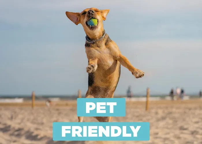 Riky Апартаменты